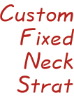 Custom Fixed Neck Strat
